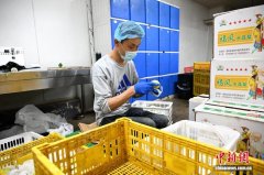 福建各界关爱残疾群体 共绘幸福民生画卷